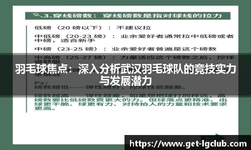 羽毛球焦点：深入分析武汉羽毛球队的竞技实力与发展潜力